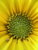 /album/fotogallerij/a2012-07-25-14-51-36-0262-jpg/